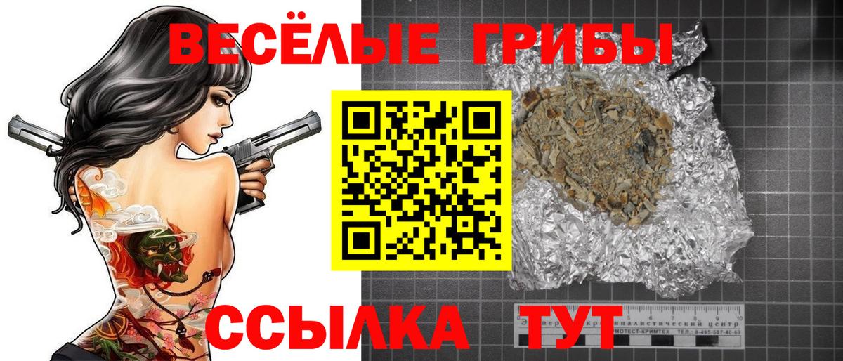 Чебоксары  Галлюциногенные грибы Magic Shrooms  Вход с VPN  Галлюциногенные грибы MAGIC MUSHROOMS 